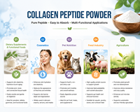 Poudre de peptides de collagène de poisson, additifs alimentaires, collagène hydrolysé, poudre de peptides de collagène en vrac pour la beauté