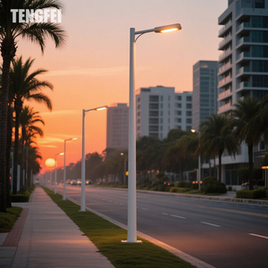 Tengfei Chine Fabrication Poteau d'Éclairage Public Solaire à Énergie pour Lampadaires Décoratifs - Product Image 1