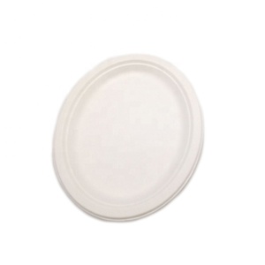 Desechables biodegradables 100 bagazo pequeña bola de masa <span class=keywords><strong>salsa</strong></span> plato placas - Product Image 5