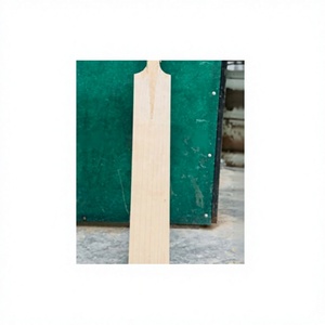 Batte de cricket pour hommes, édition joueur, en saule anglais de qualité A, manche court, profil moyen à bas, pressage rigide, personnalisée pour frapper avec puissance - Product Image 1