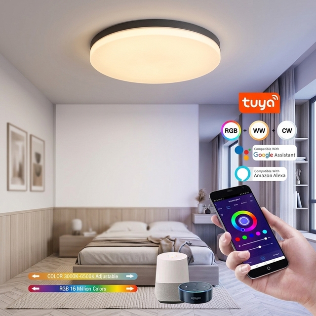 ODM LED Modern RGB Ceiling Zigbee Smart Lamp Touch Control Remote Control White Tuya App Control CCT Dimming Flicker Free CE