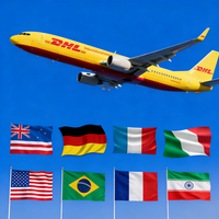 Envío Gratuito Puerta a Puerta, Agente de Envío Aéreo, Envío Exprés, Transitario de Carga, de China a Estados Unidos, Francia, Italia, Portugal, Emiratos Árabes Unidos, FBA, DDP