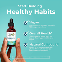 OEM Private Label Chlorophylle Liquid Drops Energy Boost Système immunitaire Support interne Best