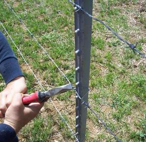 Kẹp Hàng Rào Mạ Kẽm Nhúng Nóng Cộ<span class=keywords><strong>t</strong></span> Chữ <span class=keywords><strong>T</strong></span> Buộc Chặ<span class=keywords><strong>t</strong></span> 2.8Mm - Product Image 4