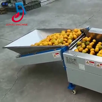 Groentefruit Classificator 1000 Kg/u Aardappelui Sorteermachine Sorteermachine Prijs