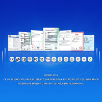 OEM RoHS LED Driver 12 Watts 1A 500mA 1500mA 2000mA LED Alimentation 100-240V à 12V 24V 36V Transformateur Adaptateur