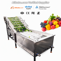 Laveuse et Sécheuse Industrielle Haute Efficacité pour Fruits et Légumes (Pommes, Raisins, Carottes) avec Ozone - Prix