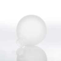 Globe en verre de Borosilicate soufflé clair fait à la main avec le style industriel enduit fait sur commande du fil G9 pour les lampes d'intérieur d'éclairage de plafond