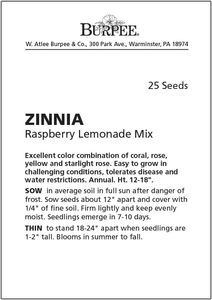 Burpee Modern Design Style Himbeer-Limonade-Mischung Zinnia 25er-Pack - Product Image 2
