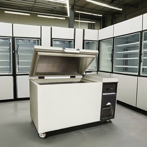 Commerce de gros-40 à-86 degrés porte d'entrée ouverte congélateur coffre profond de grande capacité réfrigérateur à <span class=keywords><strong>compression</strong></span> avec CE - Product Image 2