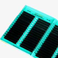 Lash Book Extensions de cils en grappes volumineuses et moelleuses, faites à la main, avec logo personnalisé et marque privée, pour la vente en gros