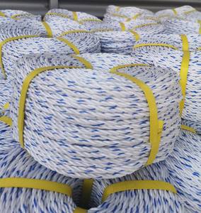 Bán Hot cường độ cao 3 <span class=keywords><strong>Strand</strong></span> 6 mét đến 32 mét Twisted PP danline <span class=keywords><strong>Polypropylene</strong></span> câu cá dây thừng trắng với màu xanh Tracer - Product Image 1