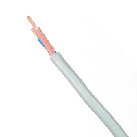 6242-Y 500V Flache Doppel-Erdungsleitung Niederspannung Industrie- und Hausbau-Stromkabel PVC-Isolierte Massivkupfer-Spulen Elektrische Leitungen