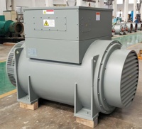 Alternateur AC robuste 1000kW pour industries lourdes, 50Hz, 400V/690V, certifié ISO 8528, résistant à la poussière et à l'humidité