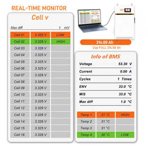 Baterías de Fosfato de Hierro y Litio de 48V en Existencia en la UE, Braun 16kWh 51.2V 314Ah LiFePO4, Batería de Almacenamiento de Energía Doméstica para Sistema Solar - Product Image 6