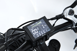 Vélo électrique tout-terrain Disiyuan Super Powerful S9 Pro Long Range Dirt Mountain 73 Fat Tire E Bike S9 STD S9 Plus - Product Image 3