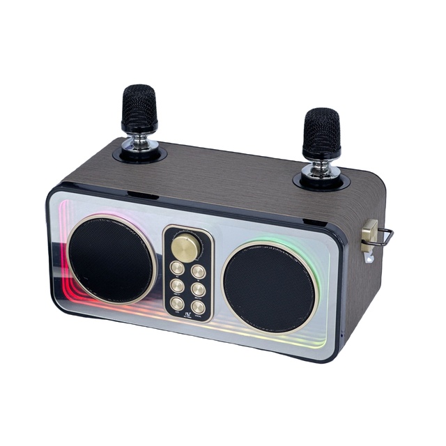 YS - 608 Dual - Microphone Portable Bluetooth Speaker with Colorful Lights - Ideal for Outdoor Karaoke
