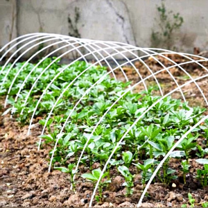 Varillas de Fibra de Vidrio para Agricultura, Varillas Sólidas de FRP, Varillas Flexibles de Fibra de Vidrio, Varillas Sólidas de FRP en Venta - Product Image 6