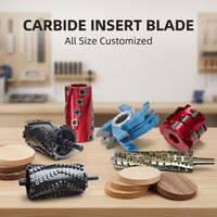 Lame de rechange pour tête de coupe spirale DH 15*15*2.5*30/37/R150 en carbure de tungstène pour le travail du bois