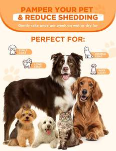 Petop - Kit de Aseo Todo en Uno para Mascotas, Cortadora de <span class=keywords><strong>Pelo</strong></span> para Perros y Gatos, Precio de Fábrica - Product Image 2