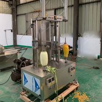 Automatische Mango Ananas Winter Meloen Pompoen Meloen Kokosnoot Wassen Fruit Groente Kokosnoot Snijmachine Schiller Schilmachine