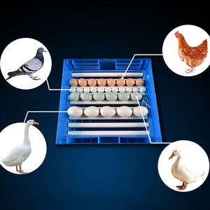 Nueva Incubadora de Huevos de Pollo, Pato, Pavo, Avestruz y Reptiles de Tamaño Pequeño para Uso Doméstico, Más Vendida, con una Tasa de Incubación del 99%, Automática y de 360 Grados - Product Image 1