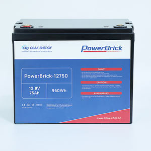 CBAK 12.8V LiFePO4 리튬 철 배터리 모듈 2000 사이클 IP56 스왑 배터리 팩 75Ah 300Ah 용량 2000 사이클 배터리 팩 - Product Image 2