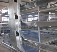 Cage de poulet en métal, outil de vente en gros d'usine populaire, haute qualité