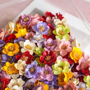Matériaux DIY pour boucles d'oreilles et bracelets : fleurs séchées véritables, roses, époxy, style forêt féerique, accessoires artisanaux - Product Image 3