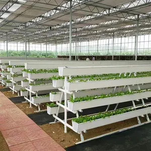 農業温室農場PVCNFTチャネルパイプ成長水耕栽培システムトマトレタスストロベリー用