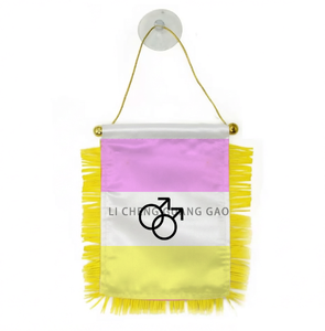 Drapeau de voiture à ventouse suspendu, série arc-en-ciel, design <span class=keywords><strong>LGBT</strong></span> (Lindsay Design), mini-drapeau transgenre personnalisé, best-seller - Product Image 5