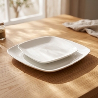 Assiette carrée en mélamine solide de 9 pouces, de qualité alimentaire, écologique, avec logo personnalisable, pour la restauration