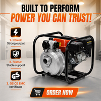 Penjualan Langsung Pabrik Pompa Air Bensin Tekanan Tinggi LEO 6.5HP 20m/h Aliran Pompa Portabel Bersertifikat CE untuk Pertanian