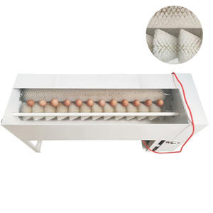 Mejor <span class=keywords><strong>precio</strong></span> cepillo <span class=keywords><strong>huevo</strong></span> limpieza lavadora dispositivo equipo <span class=keywords><strong>huevo</strong></span> lavadora dispositivo - Product Image 2