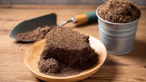 High on Demand Organic Coco <b>Peat</b> for Healthy Plant Growth and Strong Root Development Available At Reasonable Price - Product Image 2