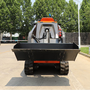 Бесплатная доставка/Сертификаты CE EPA: Мини-погрузчик на гусеничном ходу для дома и сада, дизельный/бензиновый, в продаже - Product Image 6