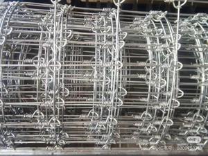 厂家直销 大量供应 4英尺 5英尺 6英尺 8英尺高 牛羊鹿农场田地围栏 山羊养殖牧场围栏 - Product Image 4