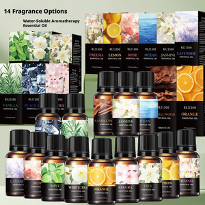 Gute-Laune-Aromatherapie Duftöl für Heimdiffusor, Reed-Diffusor, Kerzenherstellung, individuelles Etikett, Großhandel - Product Image 5