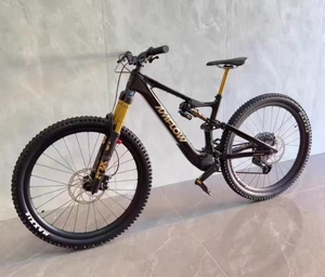 Bicicleta Eléctrica de Montaña Amflow PL Carbon Pro 800Wh de Alta Velocidad, Bicicleta Eléctrica Híbrida para Senderos - Product Image 2