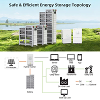 Batería solar de almacenamiento de energía para el hogar, híbrida, apilable, de alto voltaje, LiFePO4 BYD Blade, 20-100 kWh, CC 200V-1000V, con CAN para conexión a red.