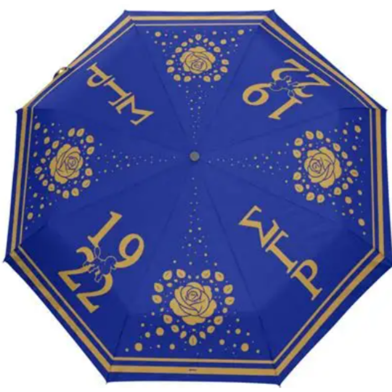 Sigma Gamma Rho 5