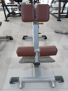 Commercial High Quality Back <strong>Stretch</strong> <strong>Trainer</strong> Roman Chair Home Gym Use Fitness Equipment Back Extension - Product Image 4