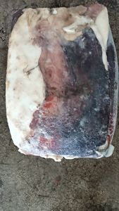 Filetes de Calamar Peruano Congelados con Piel, de Alta Calidad, Nueva <span class=keywords><strong>Temporada</strong></span>, Buen Precio - Product Image 6