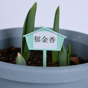12pcs/pack Plant Markers Garden Labels Plastic <b>Name</b> <b>Tags</b> - Product Image 2