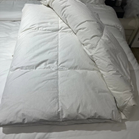 Vente en gros de literie en 100% coton pour hôtel et maison Couette douce et confortable pour adulte Couette toutes saisons pour chambre