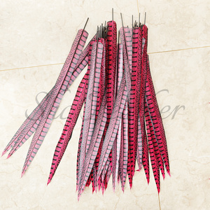 Plumes de faisan artificielles teintes bon marché Lady Amherst Plumas de plumes de queue de faisan pour la décoration de costumes de carnaval - Product Image 1