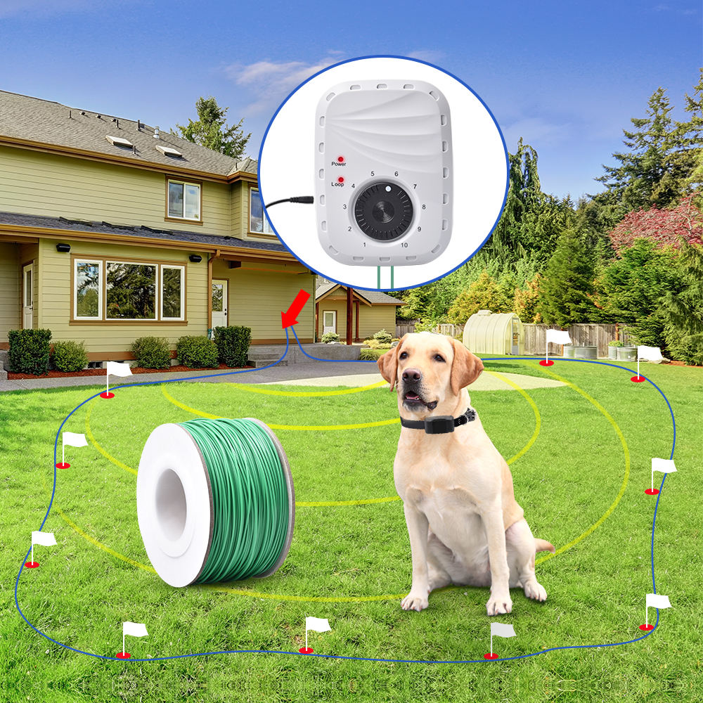 Dog Training Perimeter Fence Dog Dog Electric Fence Wireless Dog