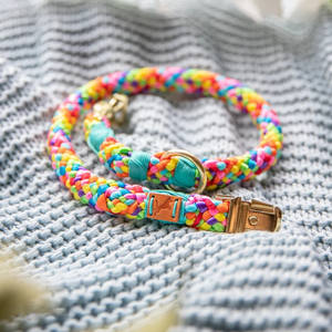 Set Kalung dan Tali Anjing Model Hands Free Baru 2025, Anyaman Warna Pelangi, Ukuran Kecil untuk Anak Anjing - Product Image 4