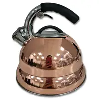 נירוסטה קמפינג קומקום שורק פופולרי מטבח תה מרוקאית מודרנית ברזל קטן מתכווננת אישית תכליתי
