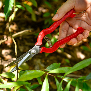 Stainless Steel Pruning Shears Red Plastic Handle Bypass Type For Branches 20-30 Mm Manual Operation - Product Image 3